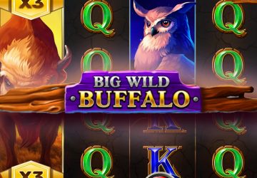 Слот Big Wild Buffalo в Гизбо казино